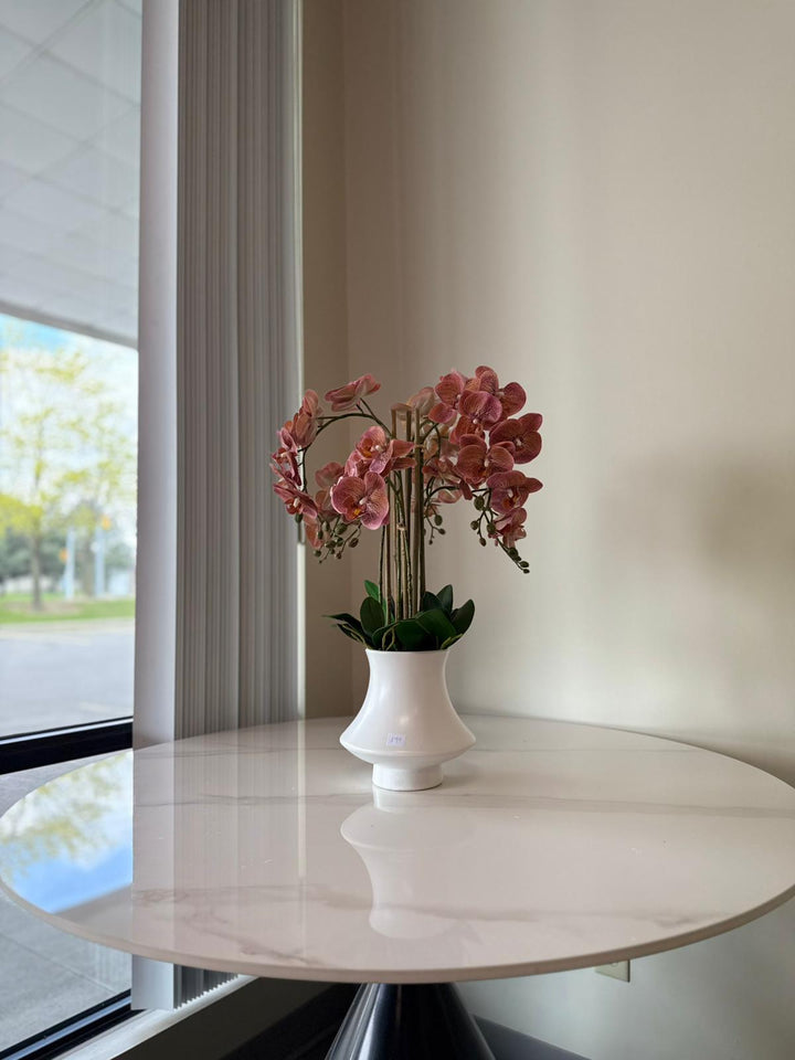 Elegant Pink Orchid Arrangement in White Ceramic Vase