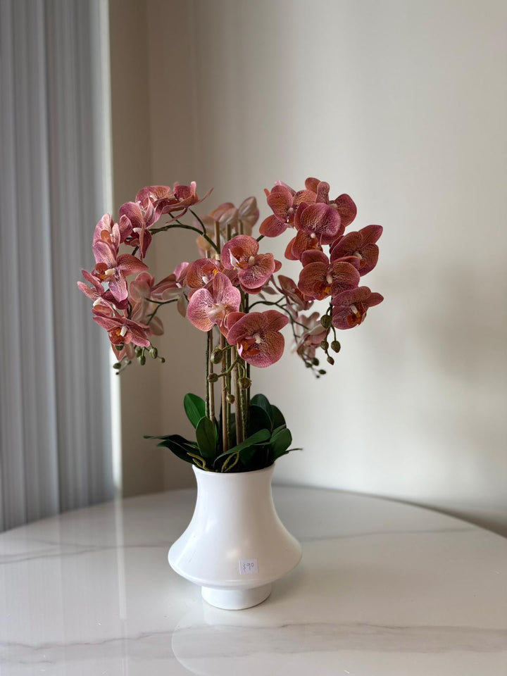 Elegant Pink Orchid Arrangement in White Ceramic Vase