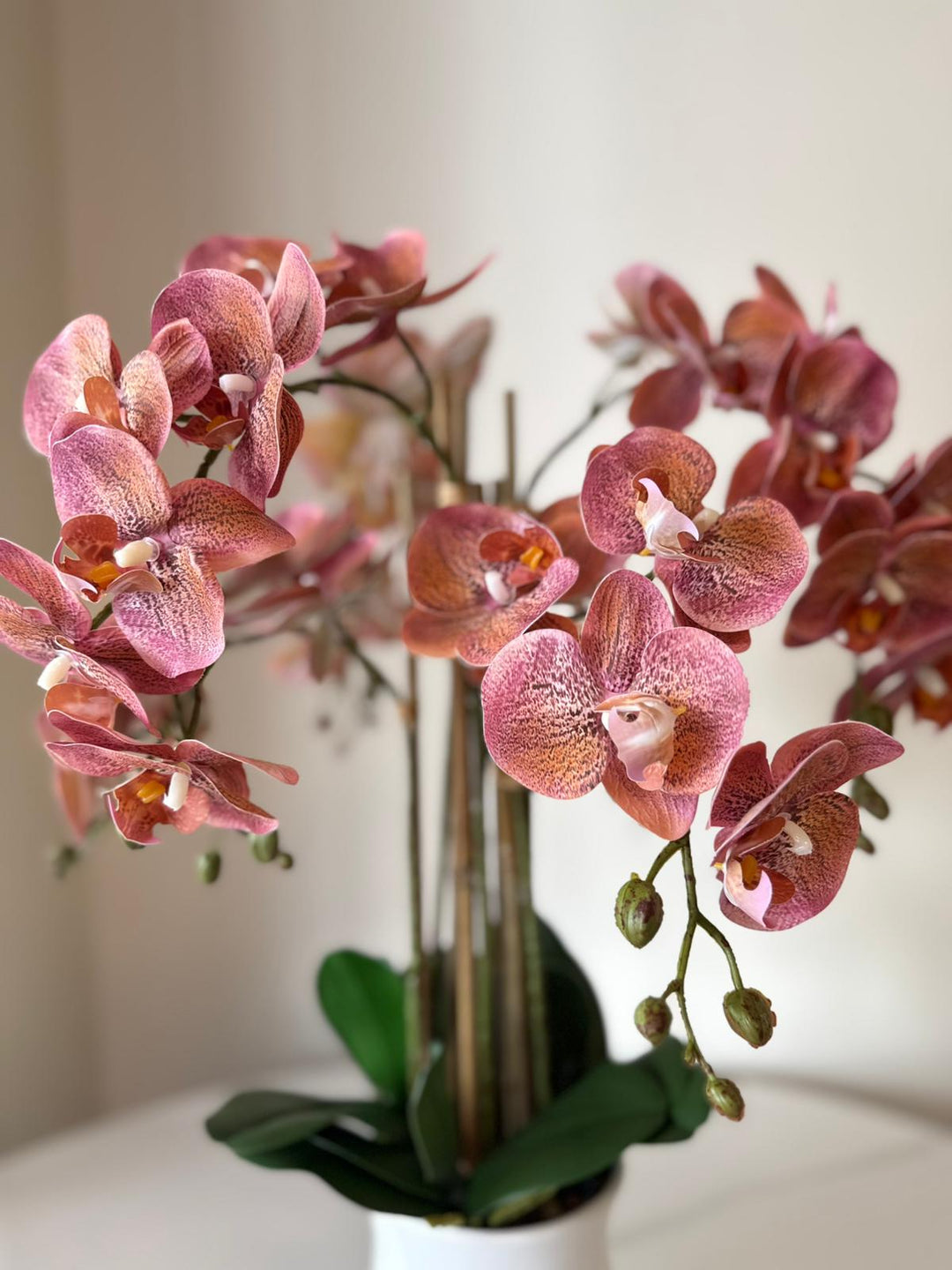 Elegant Pink Orchid Arrangement in White Ceramic Vase