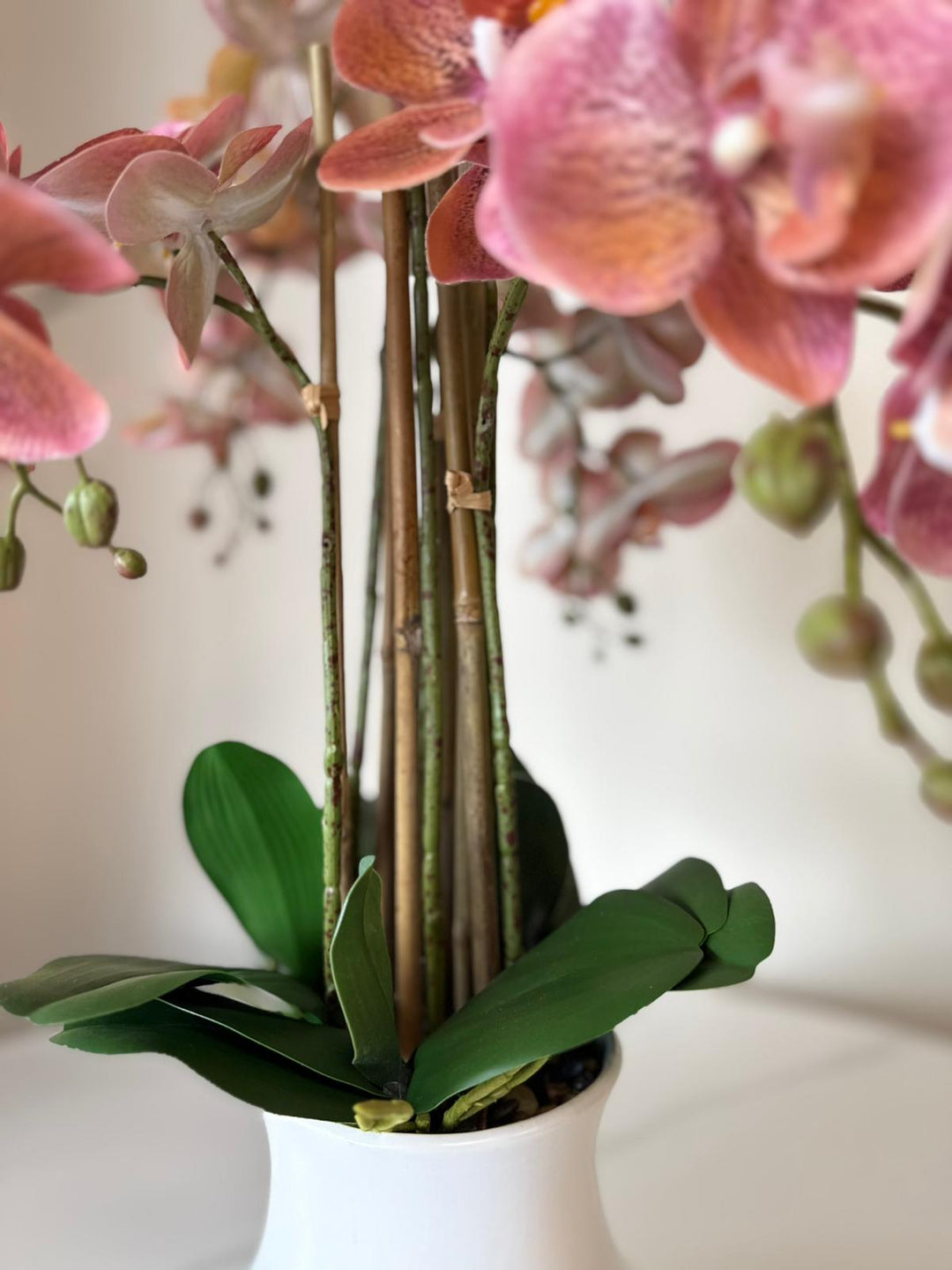 Elegant Pink Orchid Arrangement in White Ceramic Vase