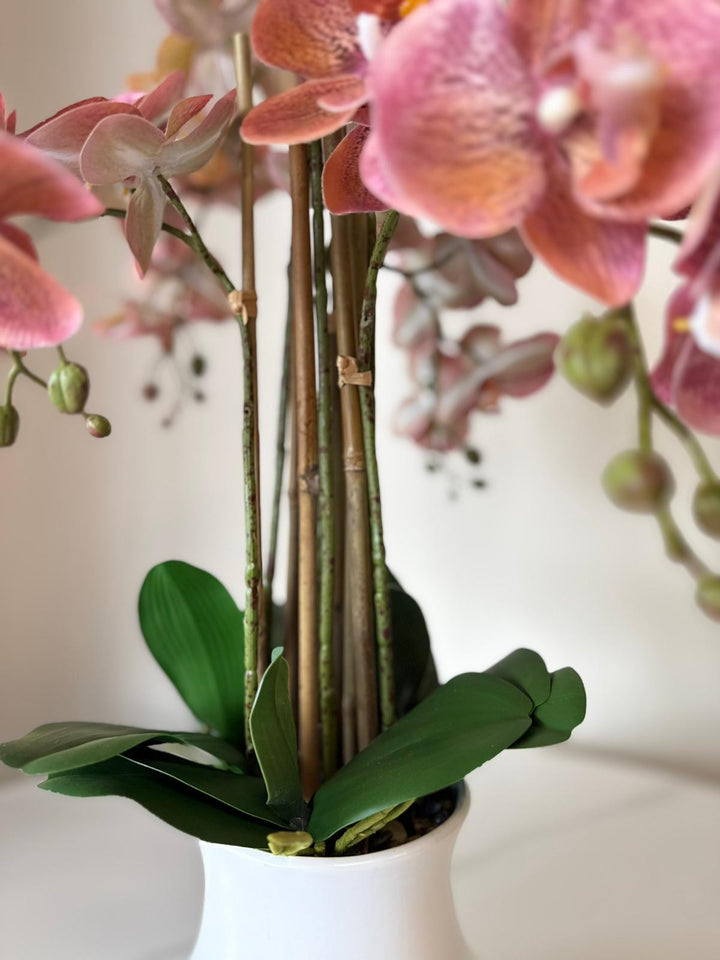 Elegant Pink Orchid Arrangement in White Ceramic Vase