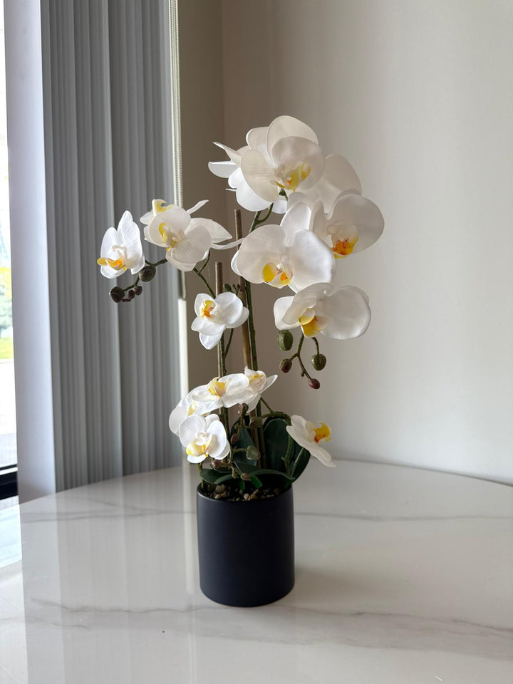 White Orchid Arrangement in Matte Black Vase