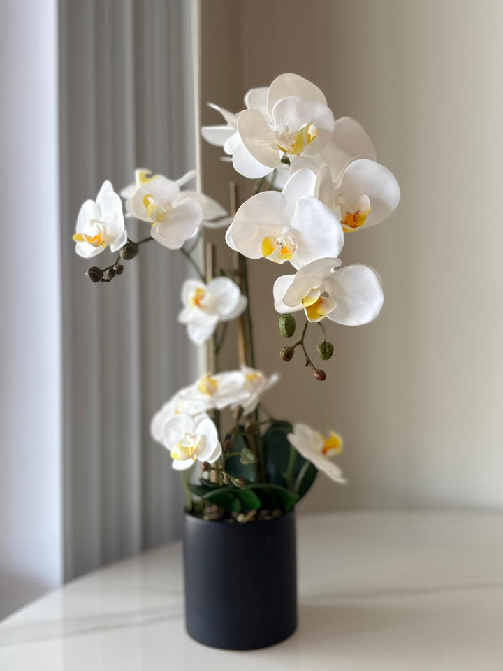 White Orchid Arrangement in Matte Black Vase
