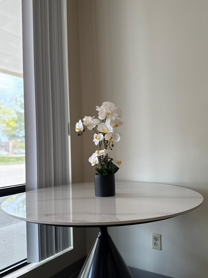 White Orchid Arrangement in Matte Black Vase