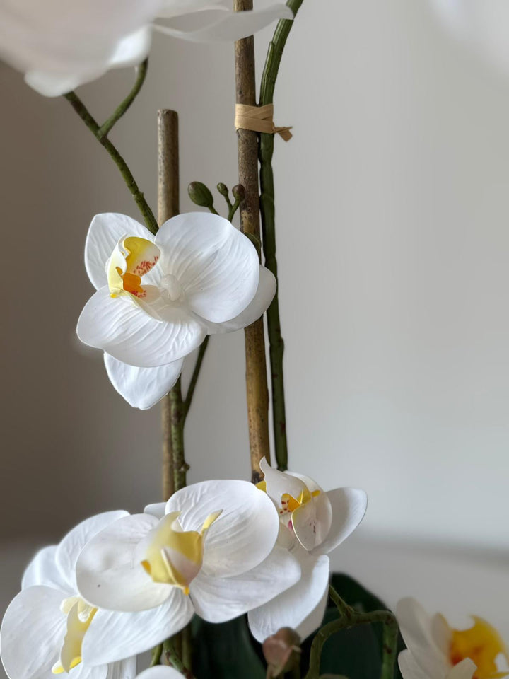 White Orchid Arrangement in Matte Black Vase