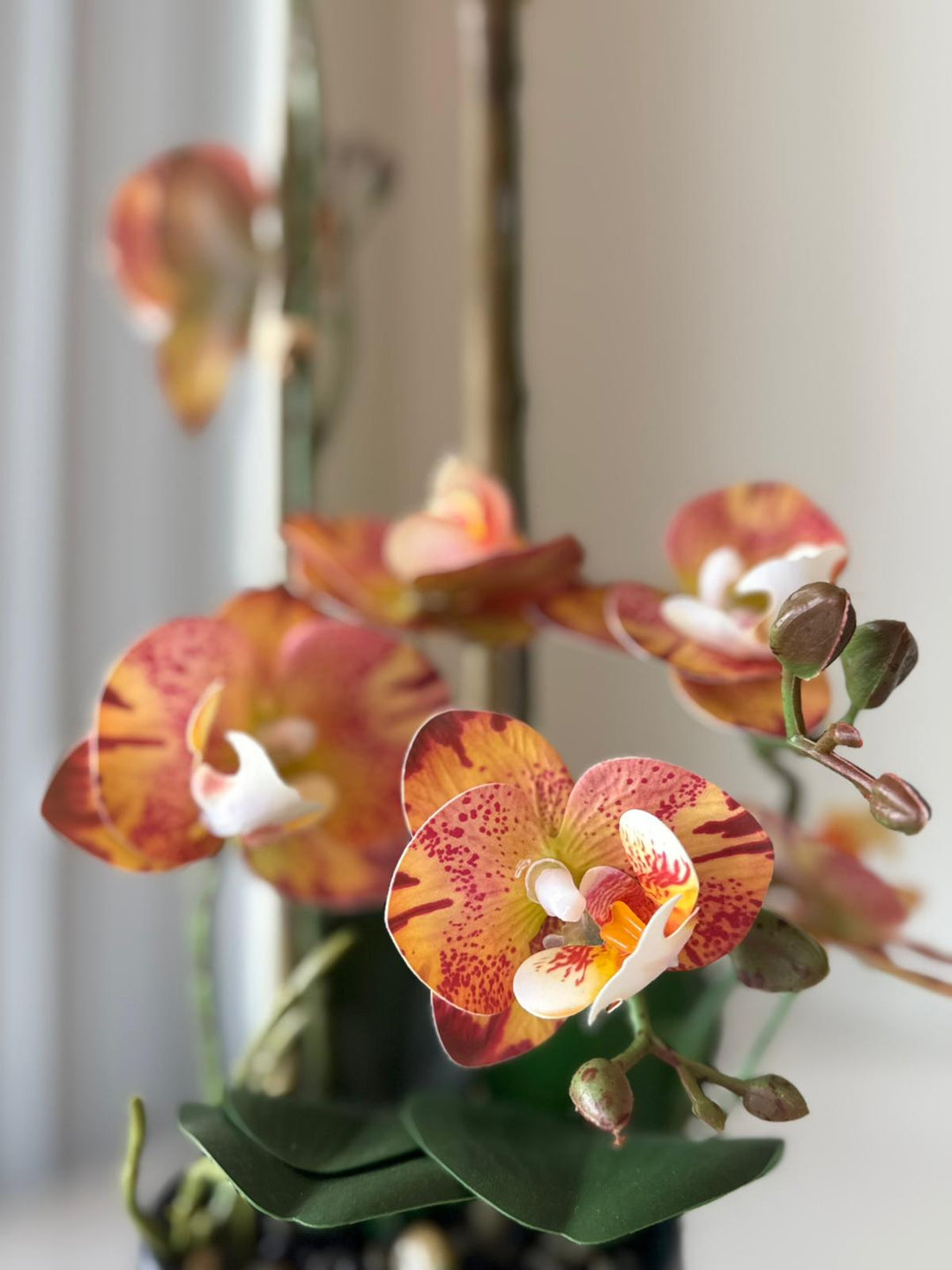 Orange Orchid Arrangement in Matte Black Vase