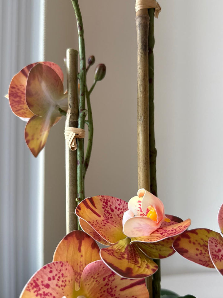 Orange Orchid Arrangement in Matte Black Vase