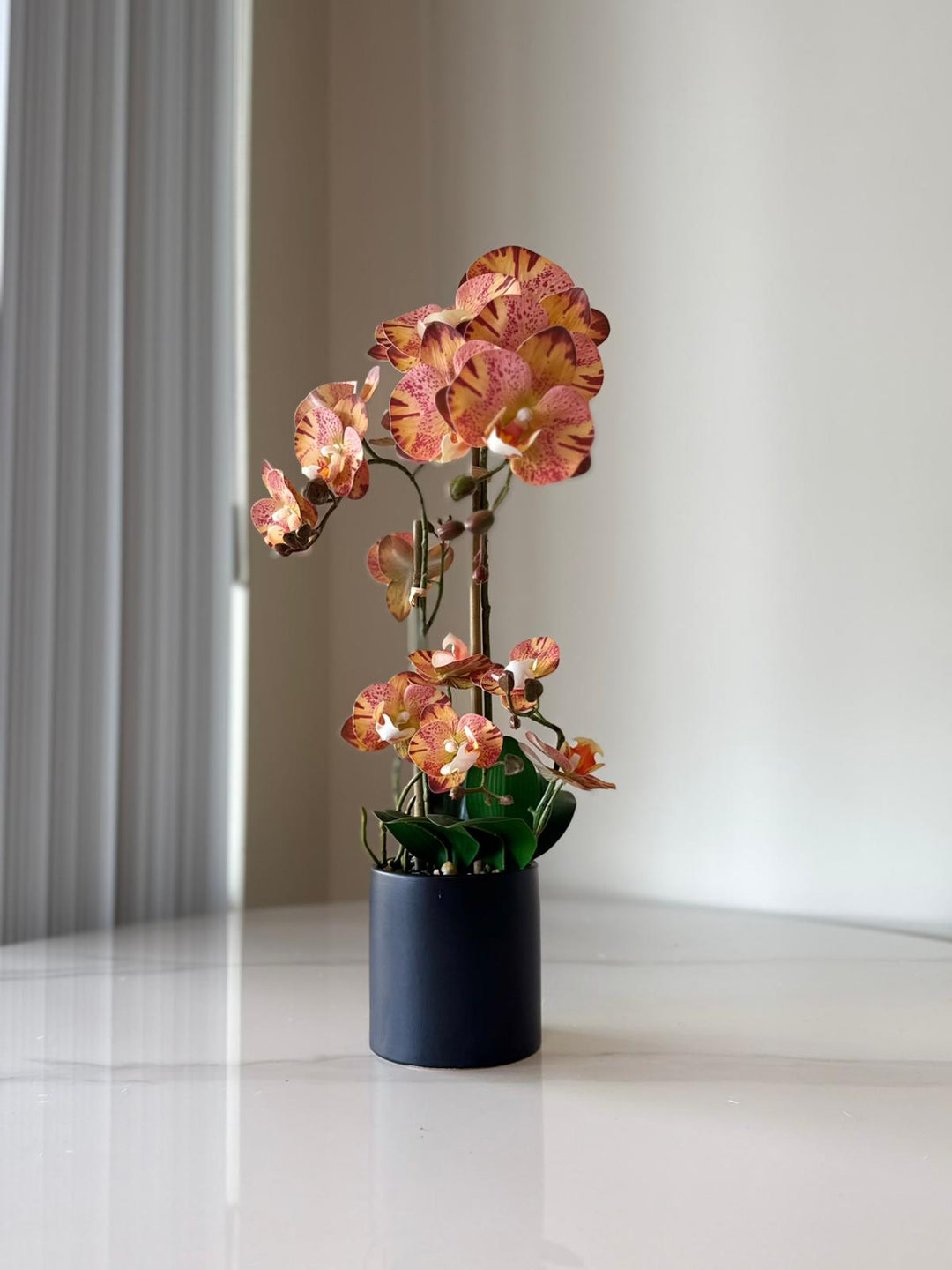 Orange Orchid Arrangement in Matte Black Vase