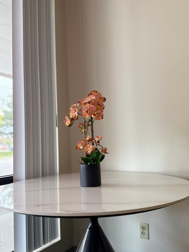 Orange Orchid Arrangement in Matte Black Vase