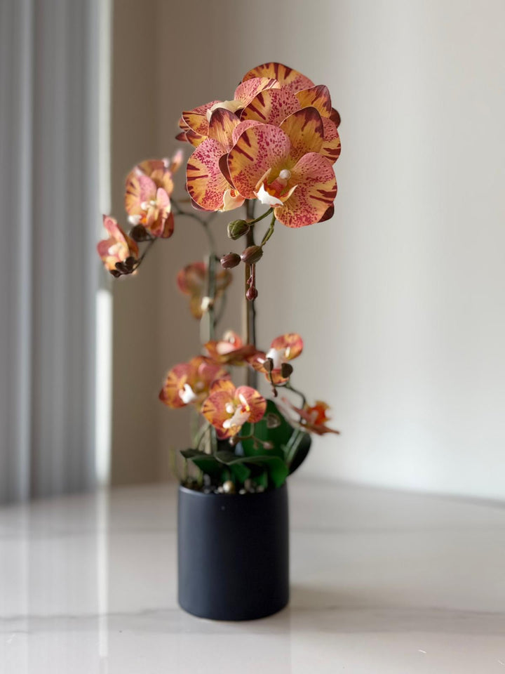 Orange Orchid Arrangement in Matte Black Vase