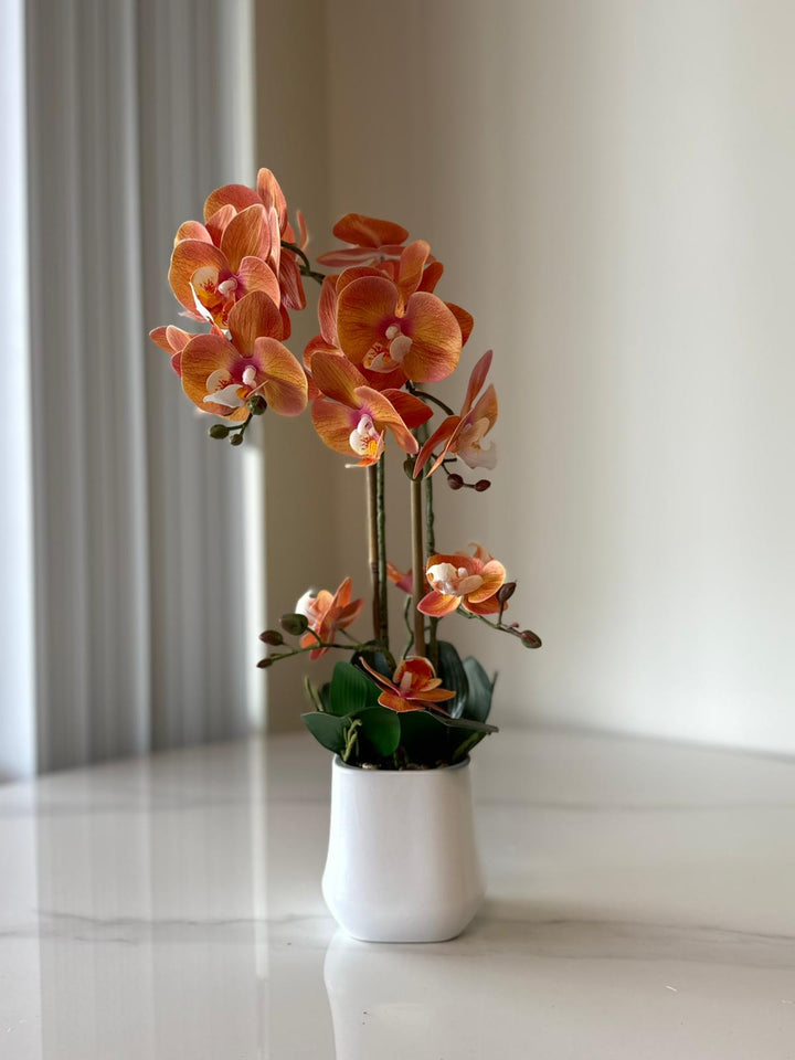 Orange Orchid Arrangement with real tough flowers
