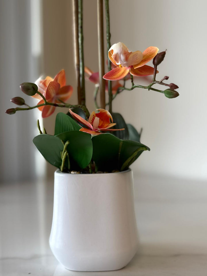 Orange Orchid Arrangement with real tough flowers