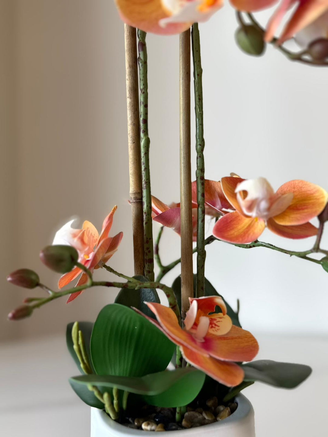 Orange Orchid Arrangement with real tough flowers