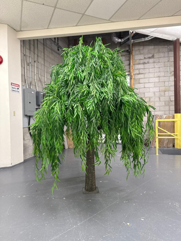 8ft Willow Tree Rental