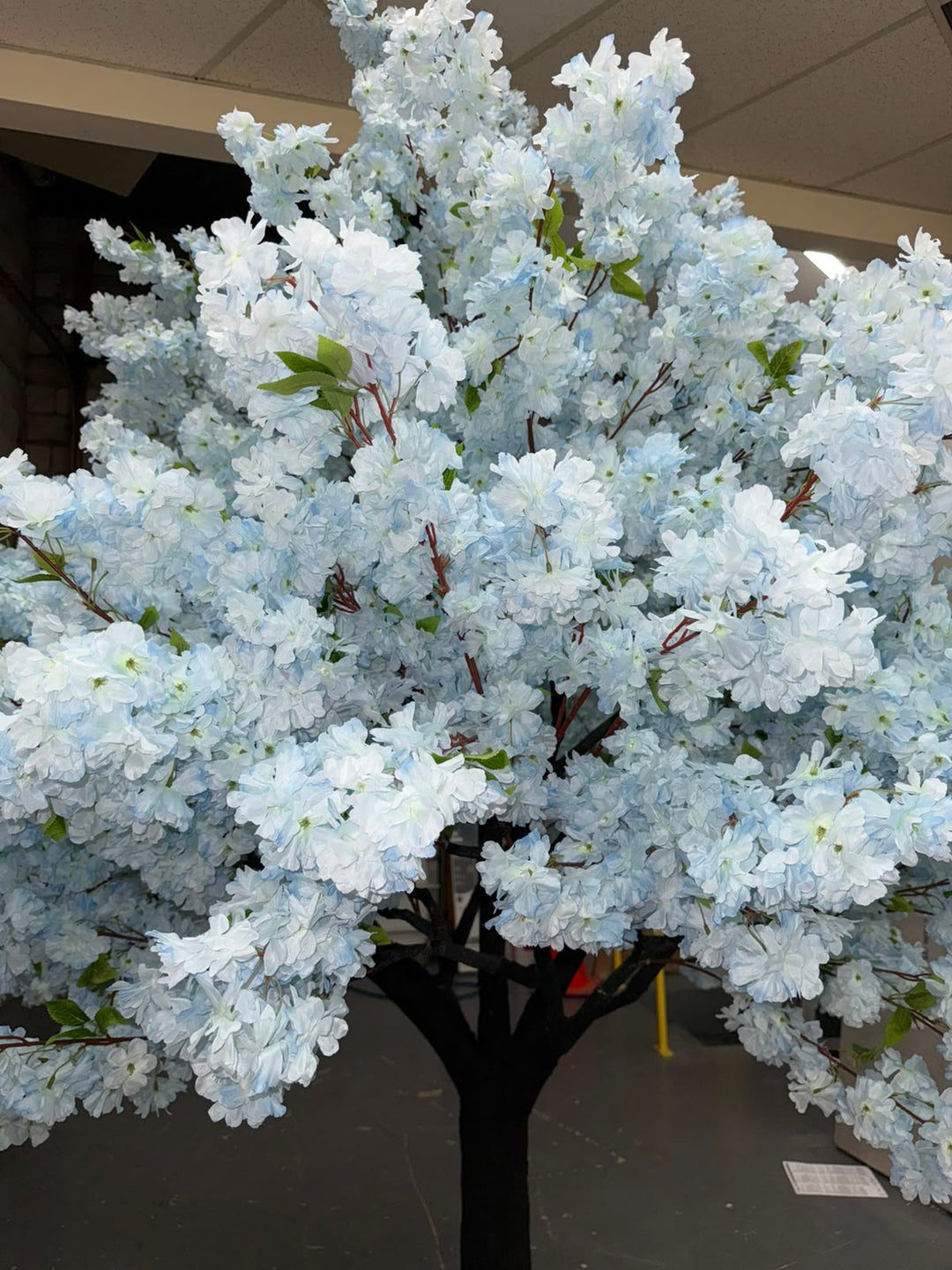 8ft Artificial Soft Blue Cherry Blossom Tree Rental