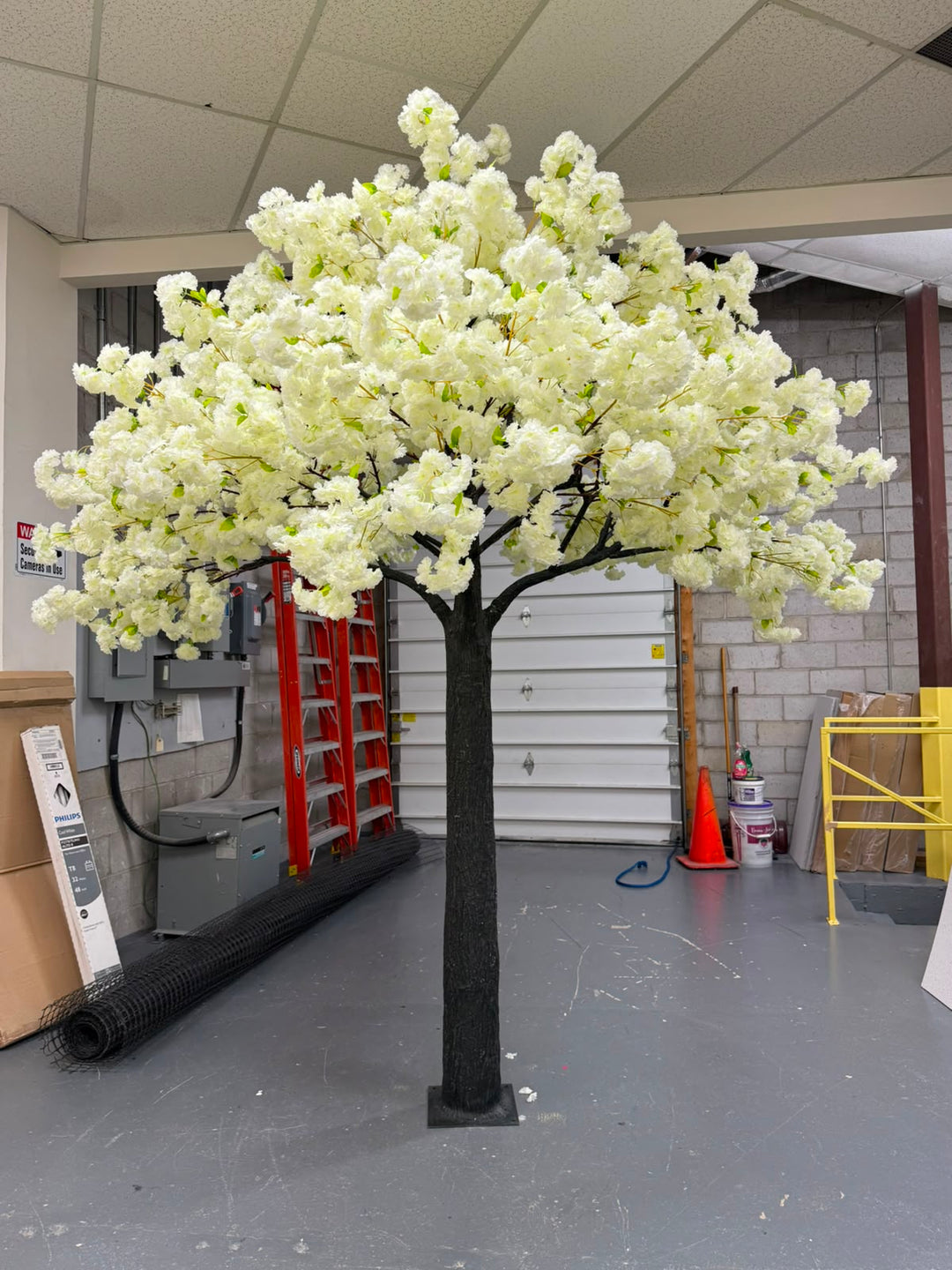 10ft Artificial Cream White With Green Leaves Cherry Blossom Tree Rental