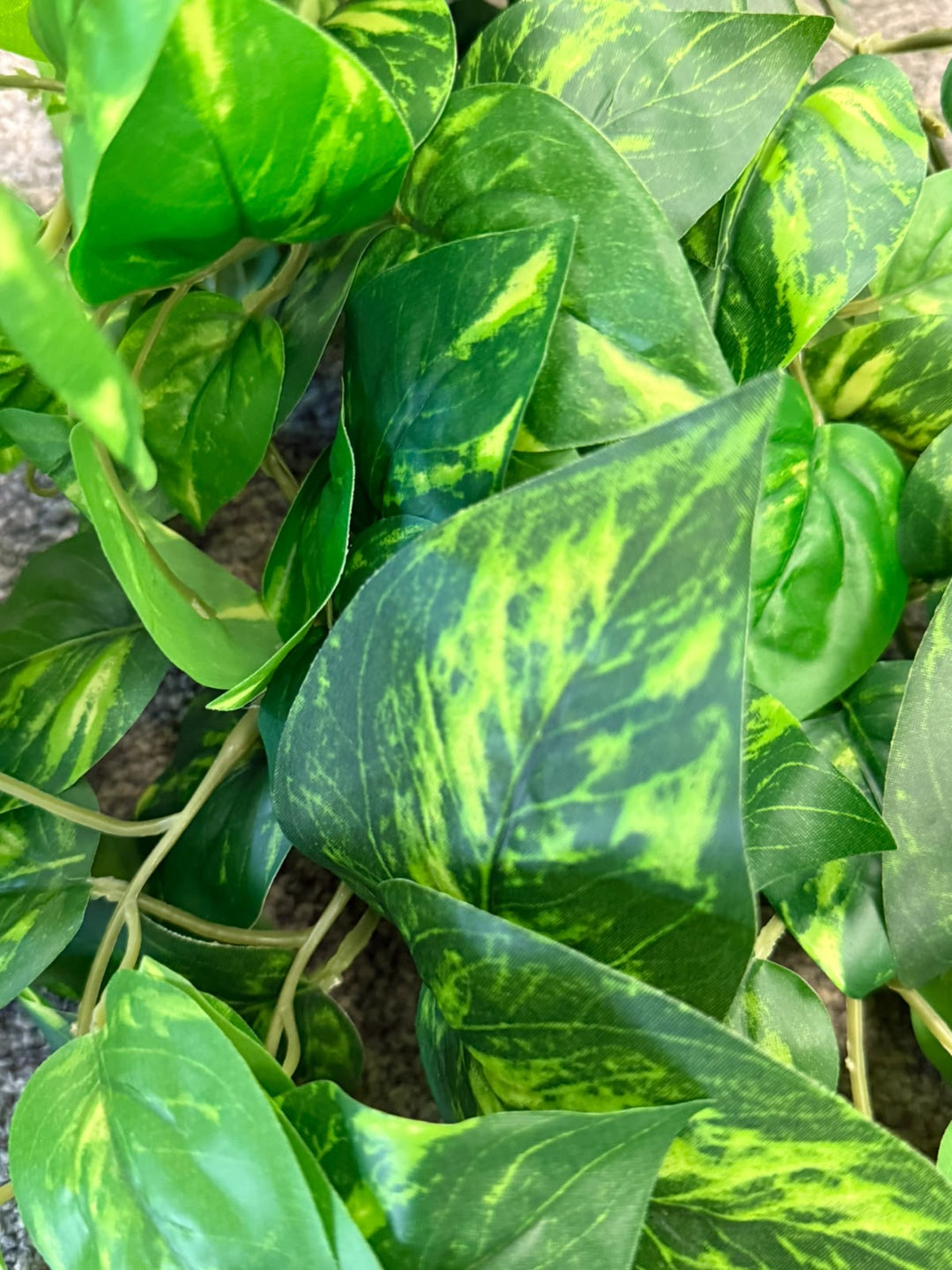 Artificial 9 Branch Yellow Green Pothos  Hanging Vine_ 100 cm