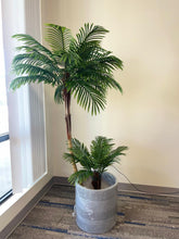 Charger l&#39;image dans la galerie, A green palm tree planted in a large light gray, round planter with a ribbed texture. Both are positioned against a neutral-colored wall in a bright, well-lit space.
