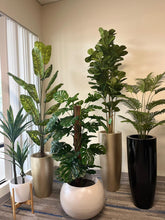 Charger l&#39;image dans la galerie, A collection of indoor potted plants in various modern planters. The plants include tall, leafy greenery placed in sleek gold, black, and white planters. The white planter has wooden legs, and the larger round pot sits directly on the floor. The setup is placed in a room with beige walls and carpet, next to a large window with vertical blinds
