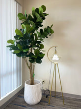 Load image into Gallery viewer, A tall, lush indoor plant with large green leaves placed in a white textured planter with a geometric pattern. Next to the plant is a modern gold floor lamp with a unique crescent-shaped design, holding a geometric light fixture. The setting, with soft lighting and neutral-colored walls, creates a stylish and cozy atmosphere in the room.
