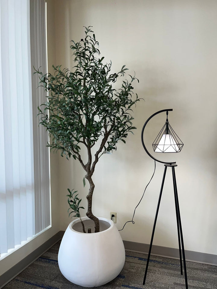 Elegant Cement Planters (24"W x 18"H)