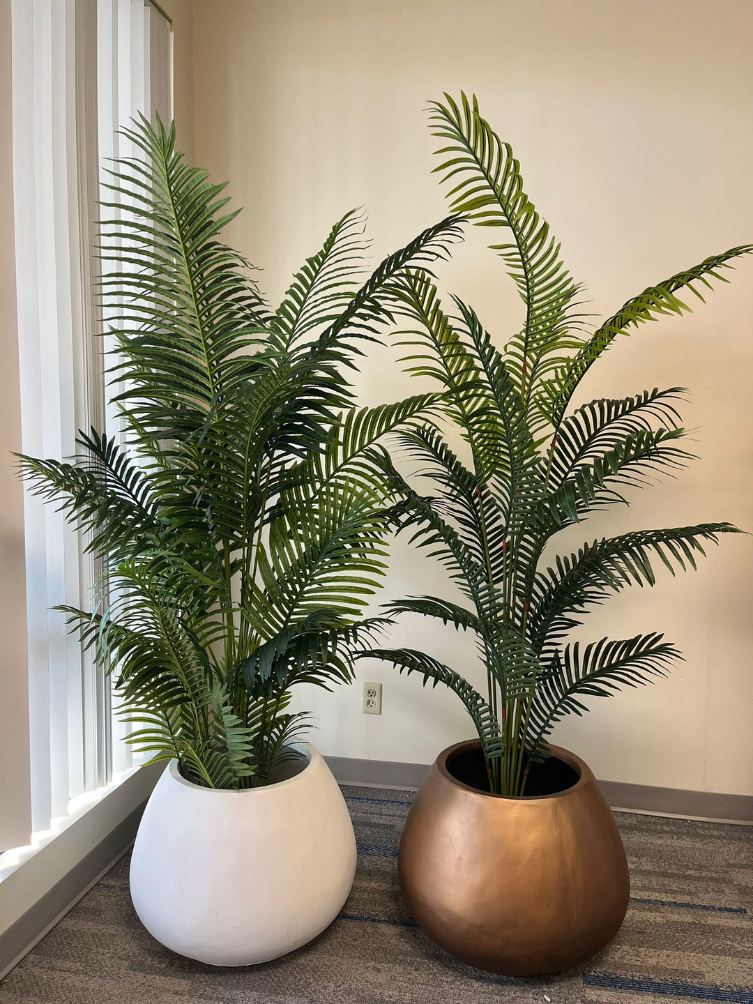 Elegant Cement Planters (24"W x 18"H)