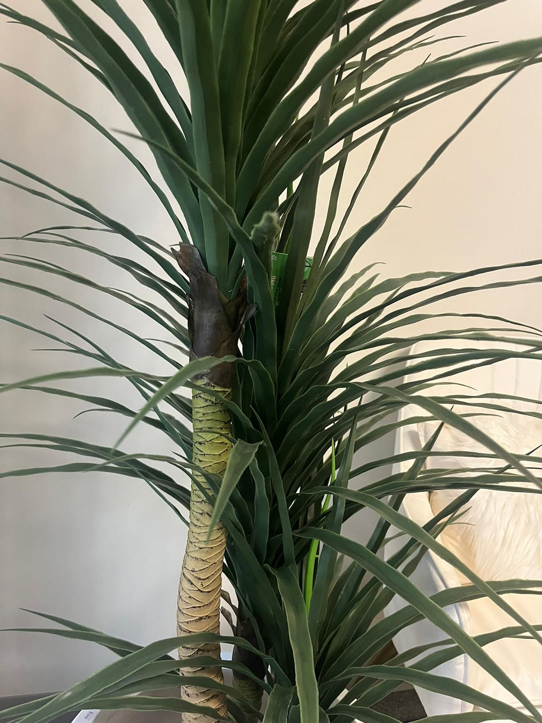 Tall artificial Dracaena plant with spiky green leaves in a modern indoor setting, adding a sleek, tropical aesthetic to any room decor.