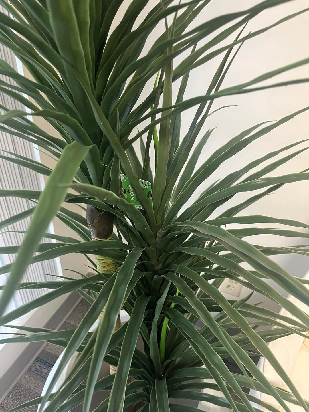Tall artificial Dracaena plant with spiky green leaves in a modern indoor setting, adding a sleek, tropical aesthetic to any room decor.