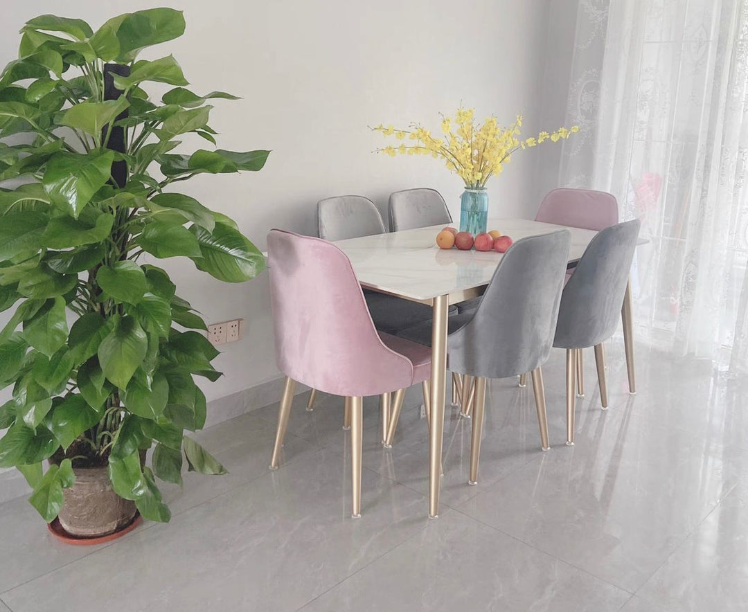 Modern Light Grey Velvet dinning chair