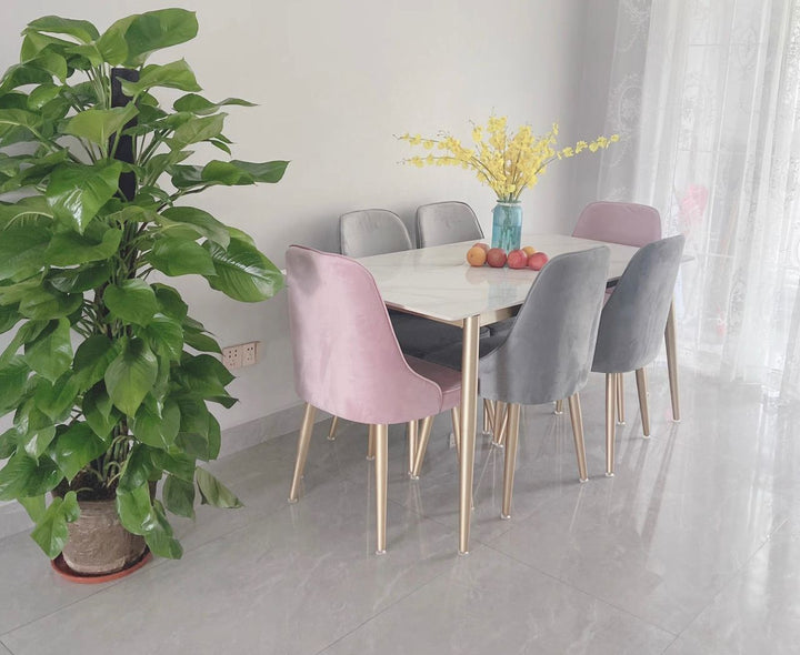 Modern Light Grey Velvet dinning chair