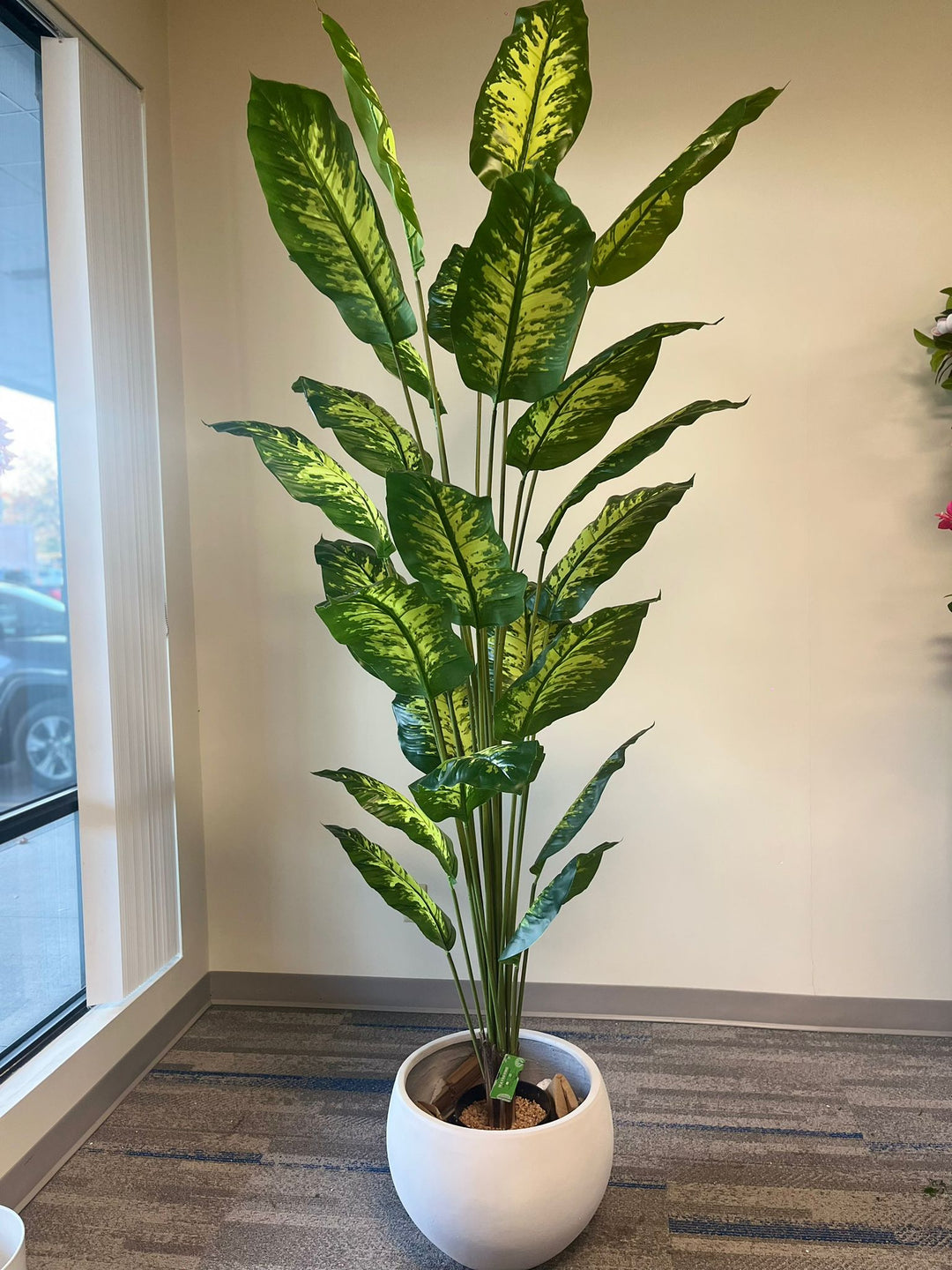 Classic Modern Cement Planter