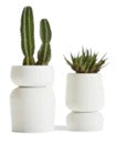 Set of two white stackable planters, one holding a tall cactus and the other holding a succulent, displayed against a plain background. Are these planters available in different sizes for various plant types?