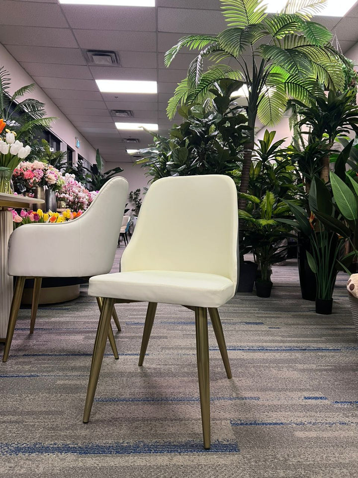 Modern Upholstered Grey Dining Chair