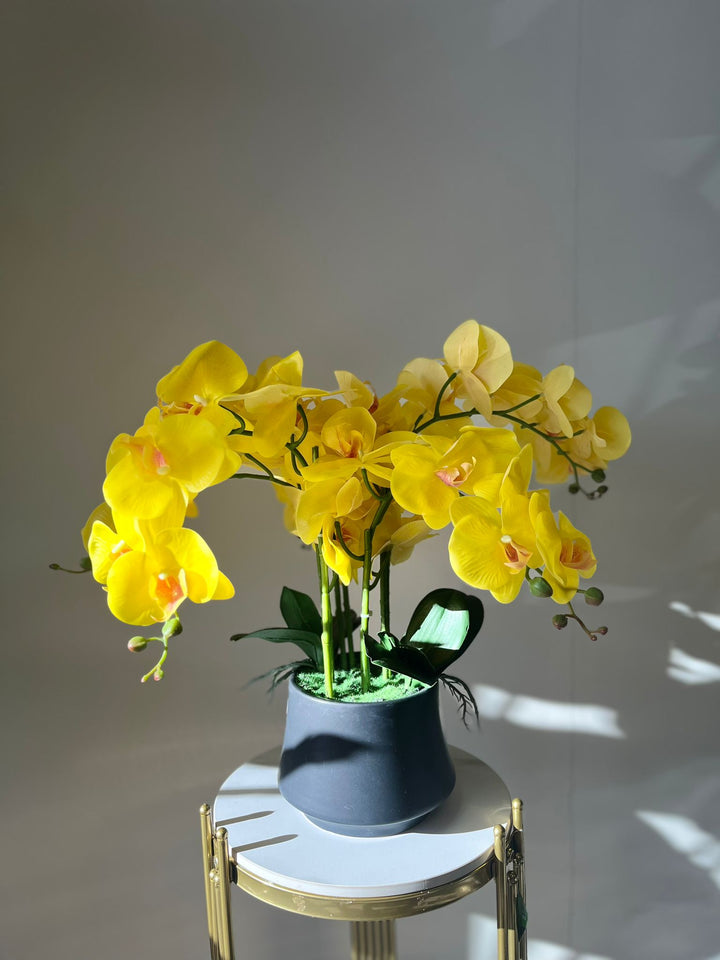 Orchidée Artificielle - Jaune avec Vase Noir