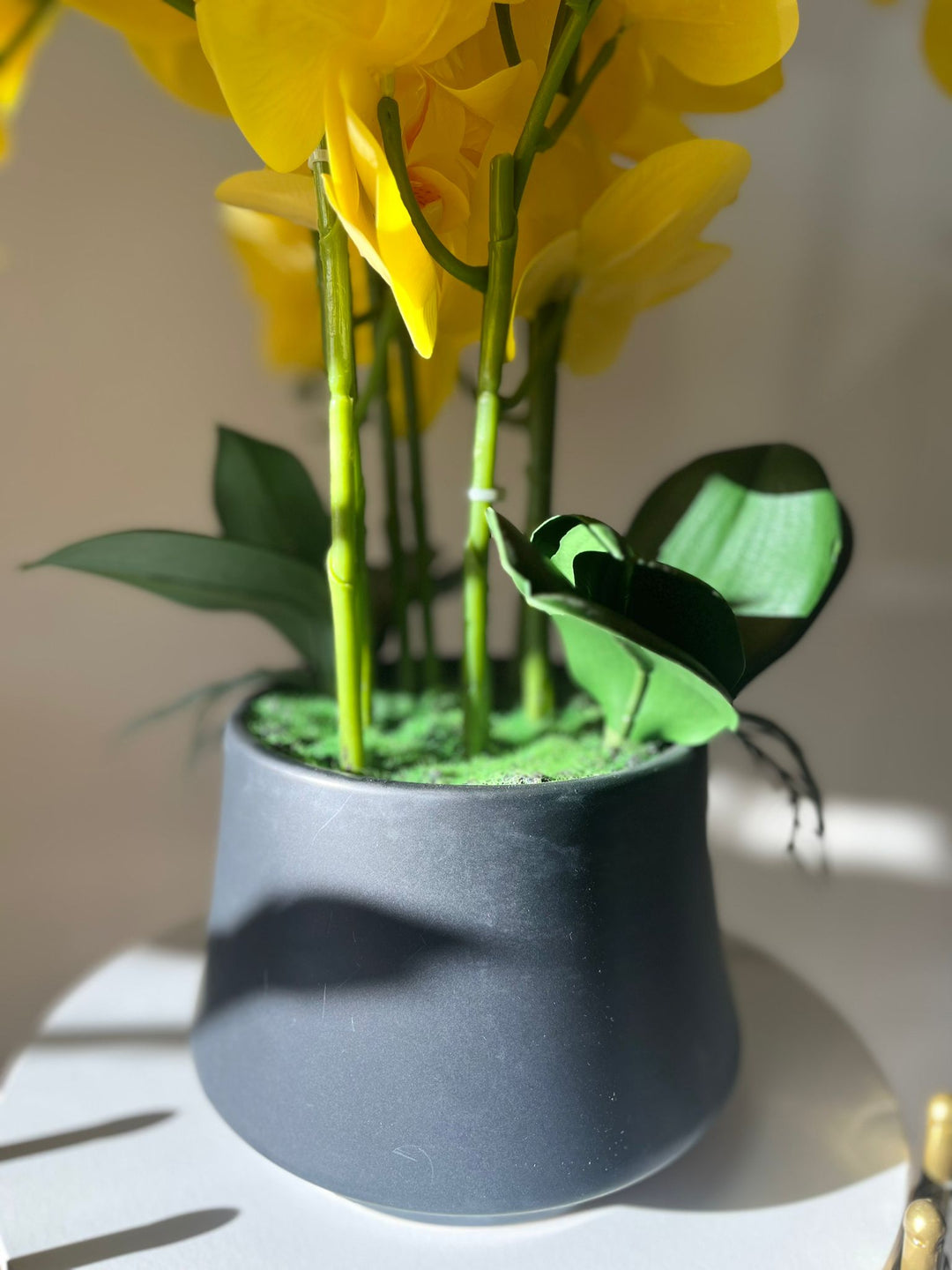 Orchidée Artificielle - Jaune avec Vase Noir