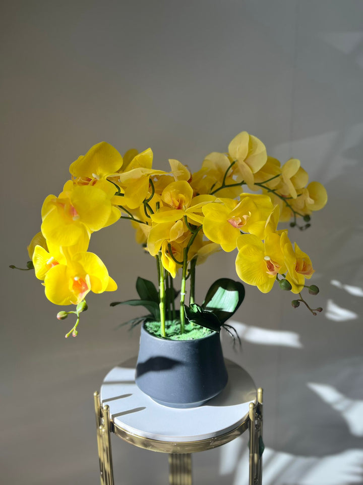Orchidée Artificielle - Jaune avec Vase Noir