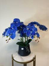 Charger l&#39;image dans la galerie, Artificial Orchid with Black Pot - Blue
