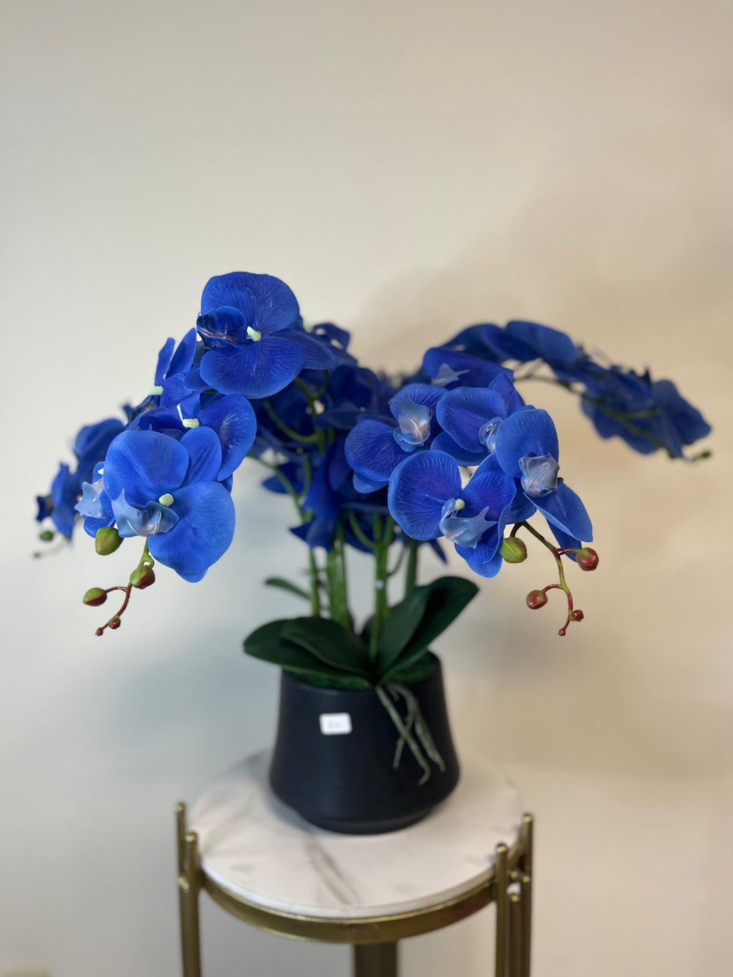 Artificial Orchid with Black Pot - Blue