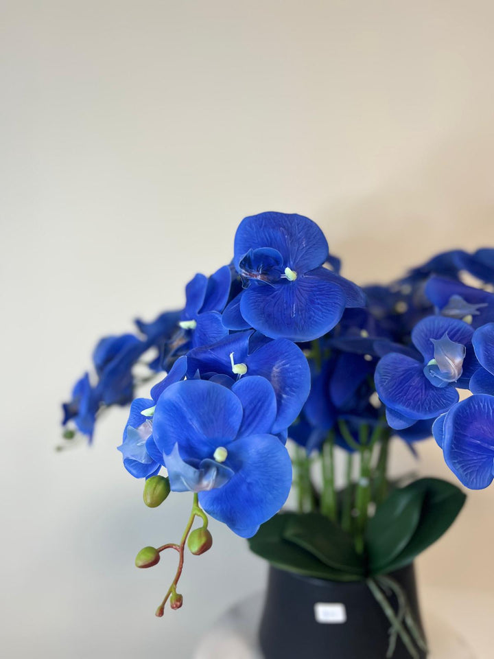 Artificial Orchid with Black Pot - Blue
