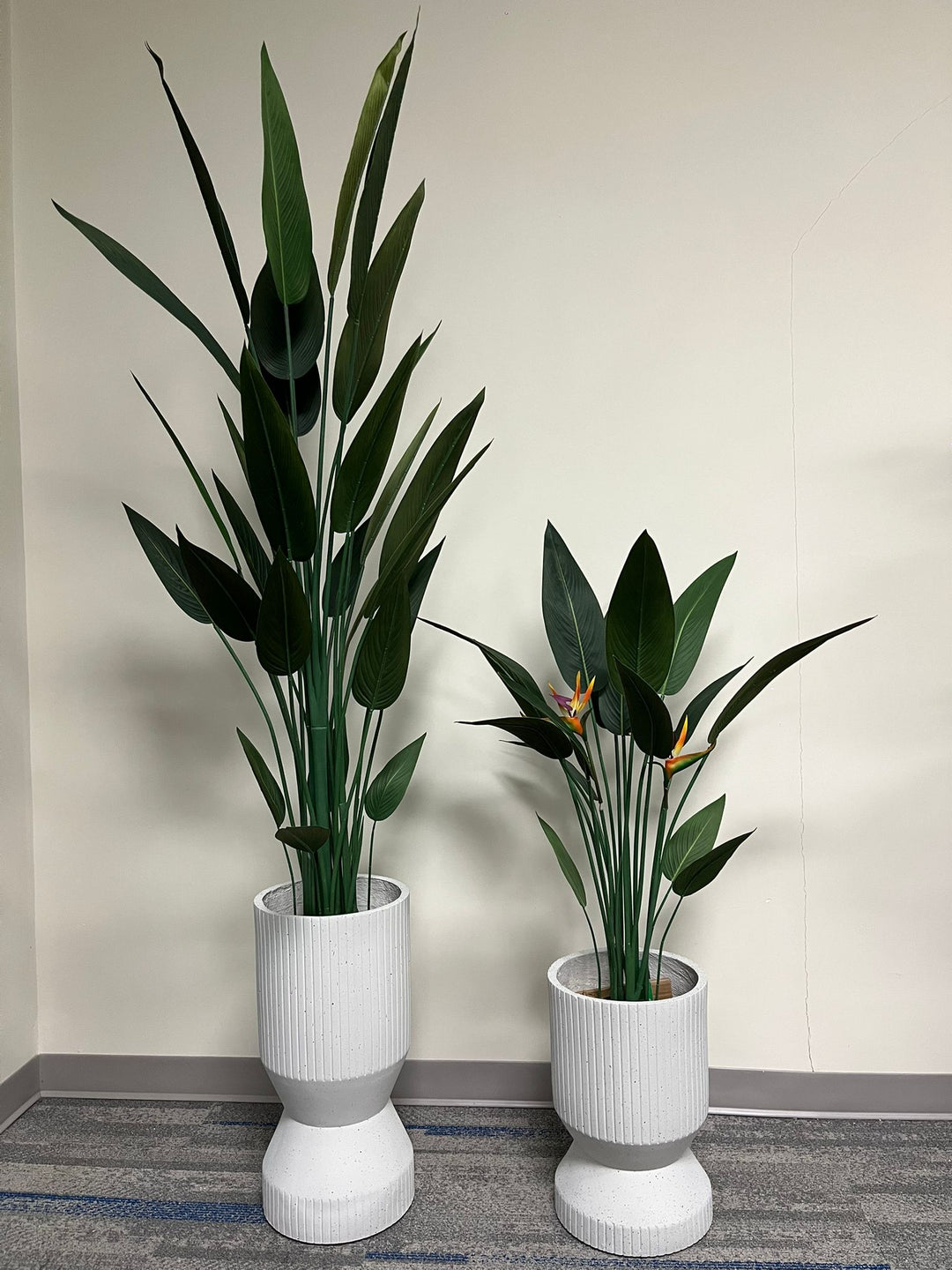 white ribbed cylindrical planters with a modern textured design, displayed empty indoors near a window on a carpeted floor. Are these planters suitable for heavy plants?