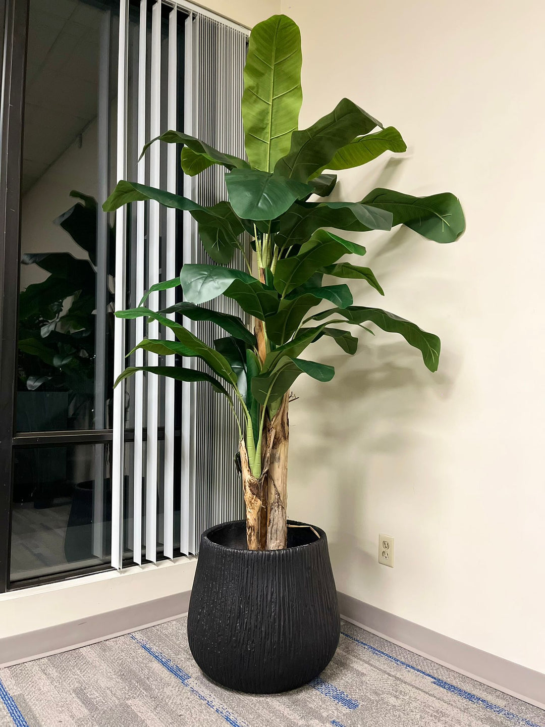 Large black textured planter holding a vibrant artificial banana tree, placed indoors near a window with vertical blinds. The planter's modern ribbed design complements the tropical aesthetic. What is the weight capacity of this planter?