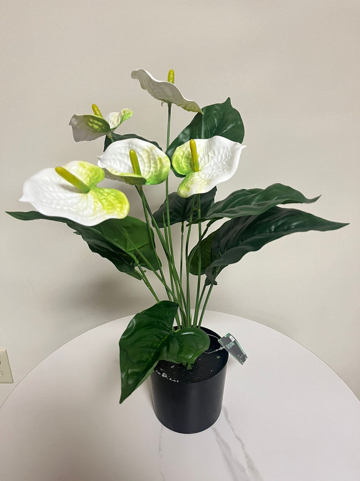 Artificial plant - 21" (White painter's pallete flower)