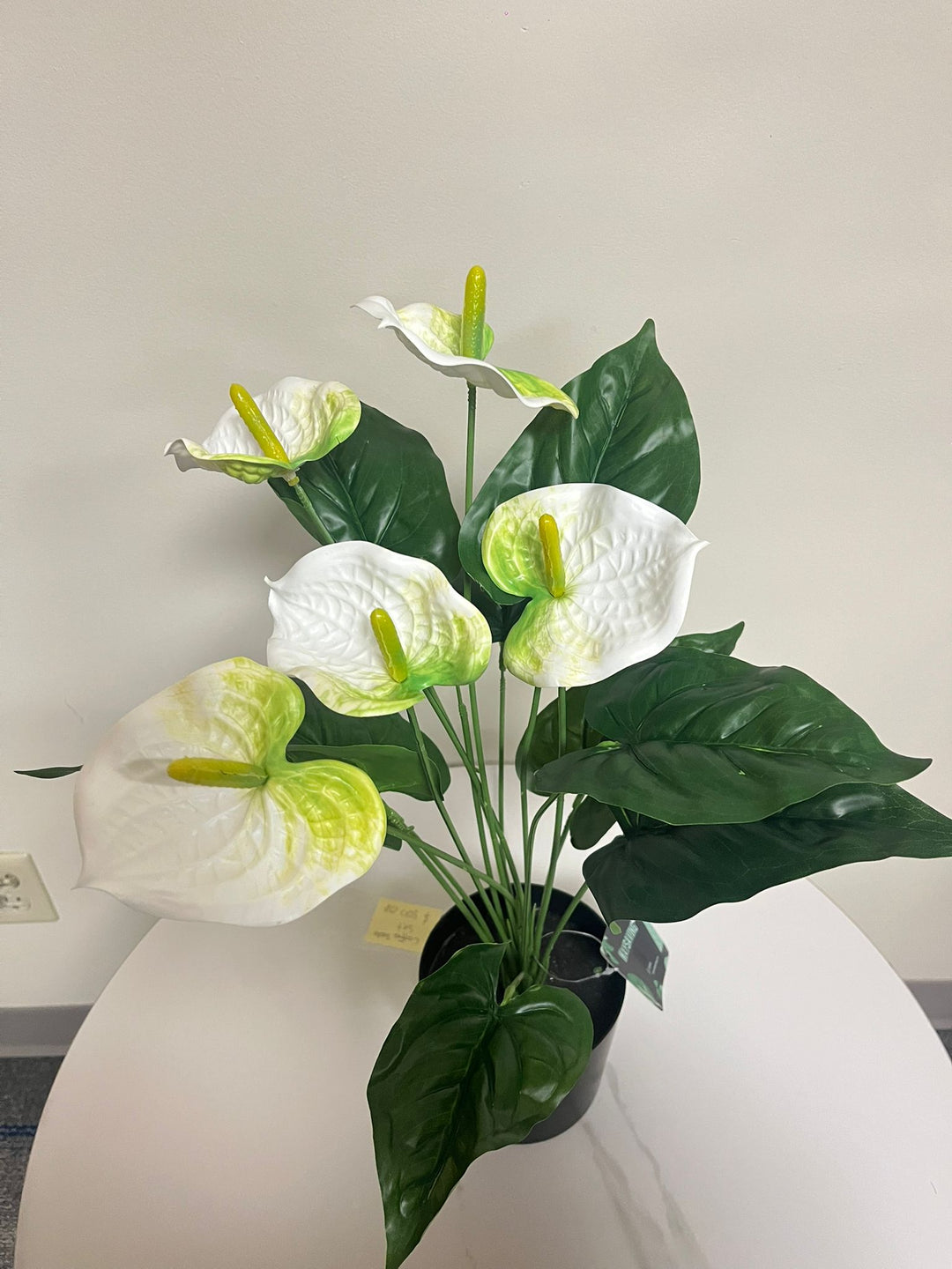 Artificial plant - 21" (White painter's pallete flower)