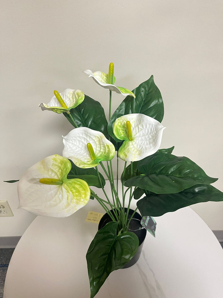 Artificial plant - 21" (White painter's pallete flower)