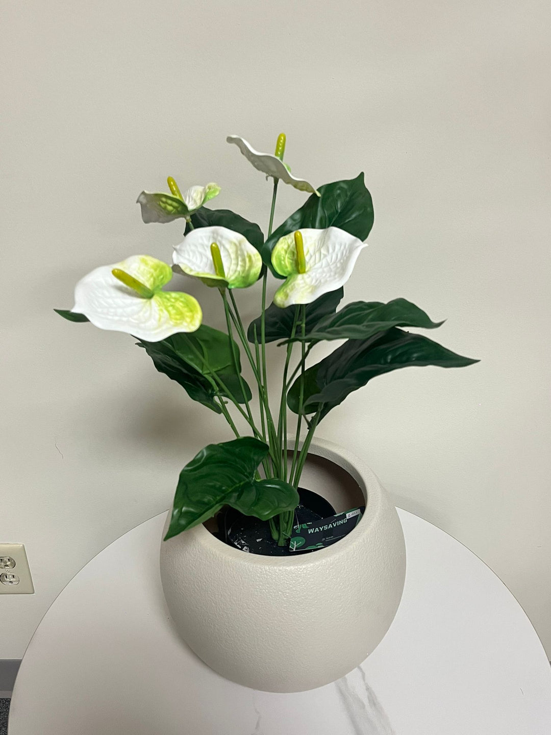 Artificial plant - 21" (White painter's pallete flower)
