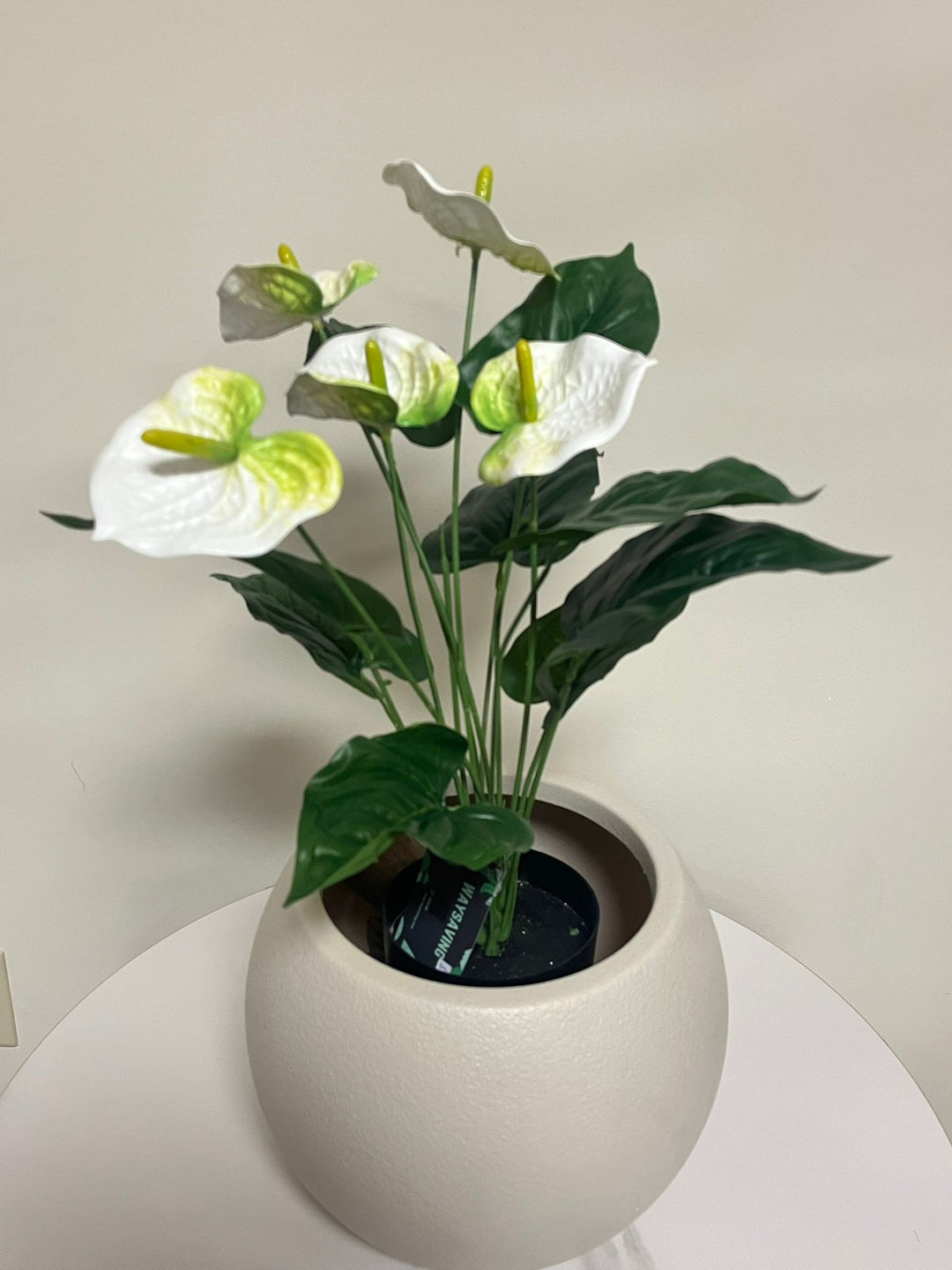 Artificial plant - 21" (White painter's pallete flower)