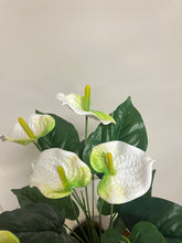 Load image into Gallery viewer, Artificial plant - 21&quot; (White painter&#39;s pallete flower)
