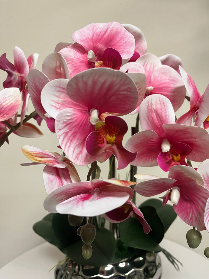 Pink Orchid (silver vase)