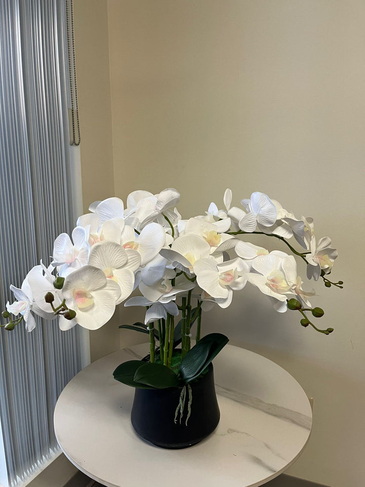 Orchidée Artificielle - Blanche avec Vase Noir