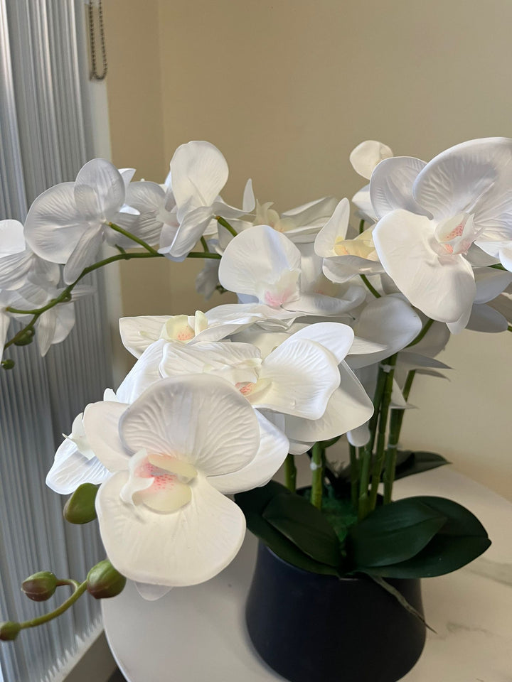 Orchidée Artificielle - Blanche avec Vase Noir